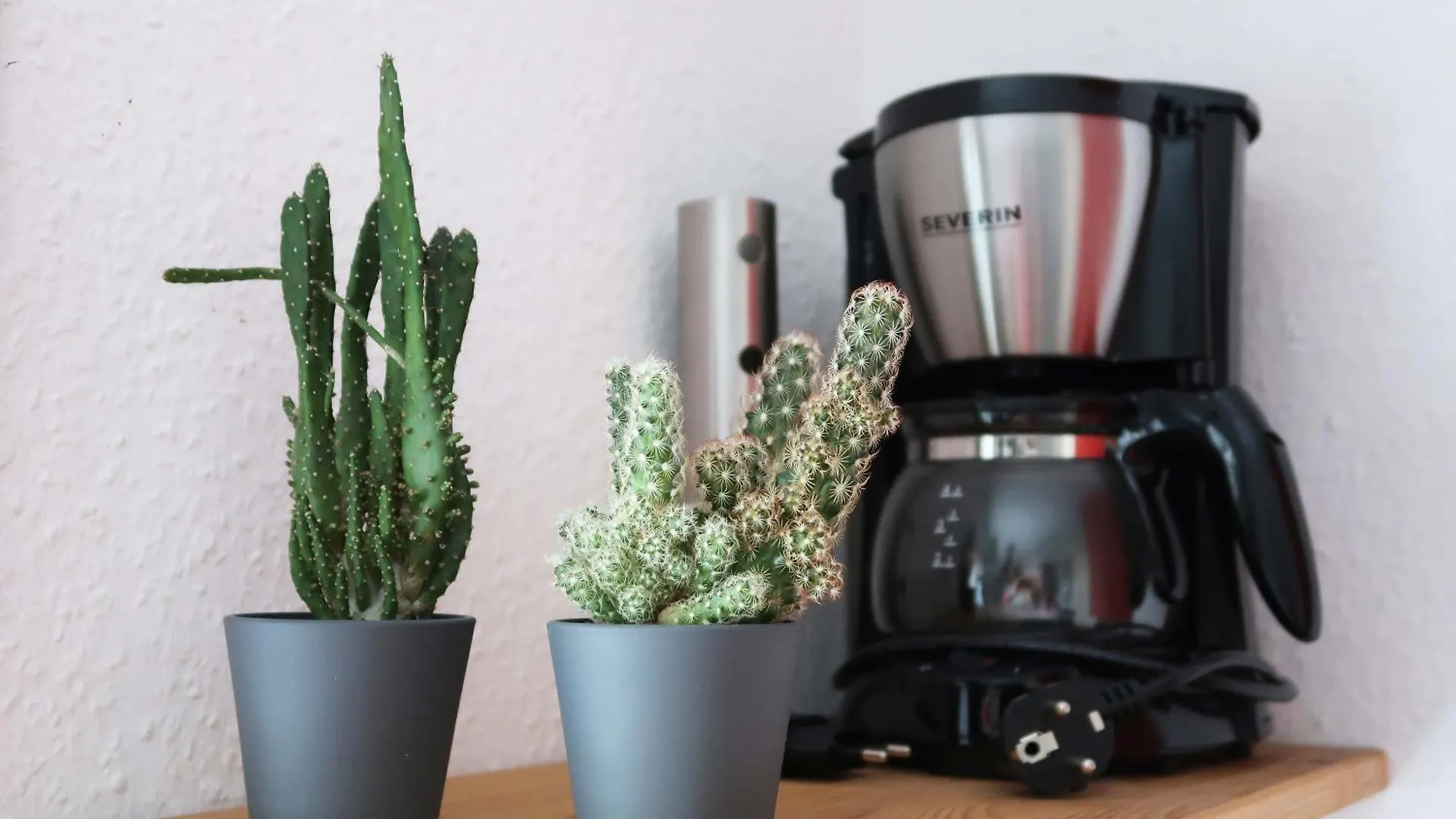 Kleines Studio Am Uni-Campus - Perfekt Fuer Junge Unternehmungslustige Dresde Appartement